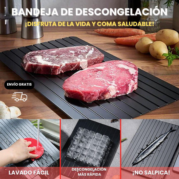 QUICK DEFROST TRAY + FREE SHIPPING 